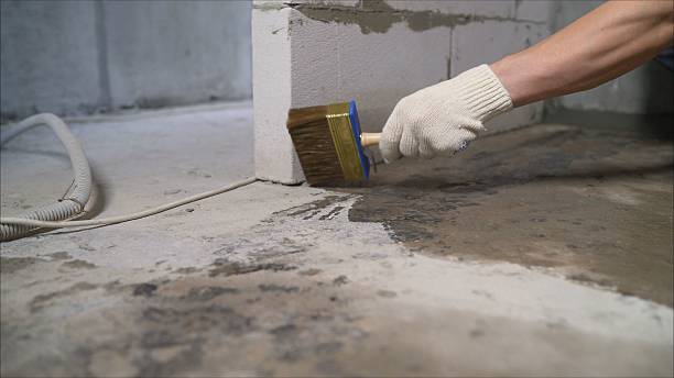 Top rated local Waterproofing specialists in Cedar Bluff, VA